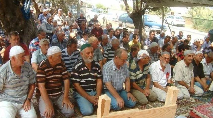 Zeytin Tarlasında Cuma Namazı Kılıyor