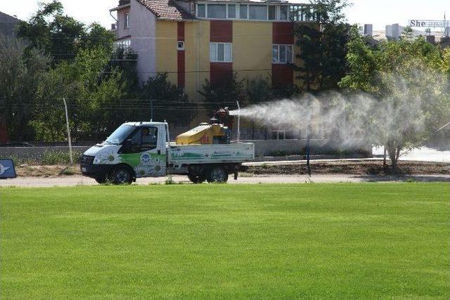 Odunpazarı'ndaki Park Ve Spor Alanları İlaçlandı