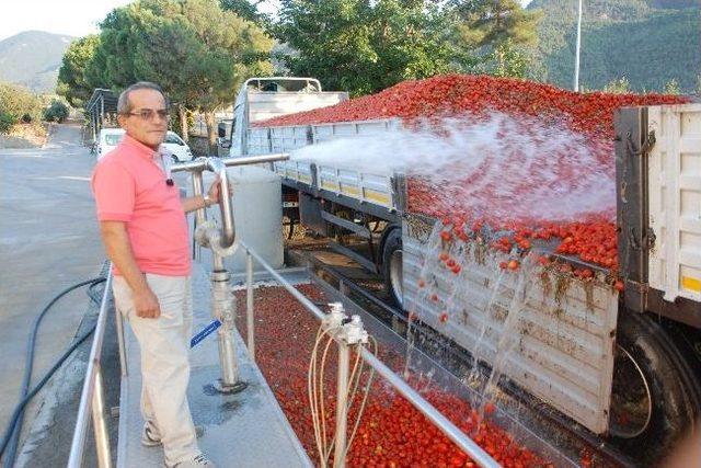 Vatandaşlar Salçayı Tadına Bakarak Alıyor