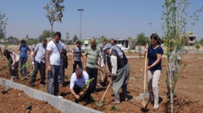 Viranşehir Belediyesi, 7 Park Daha A&ccedil;ıyor