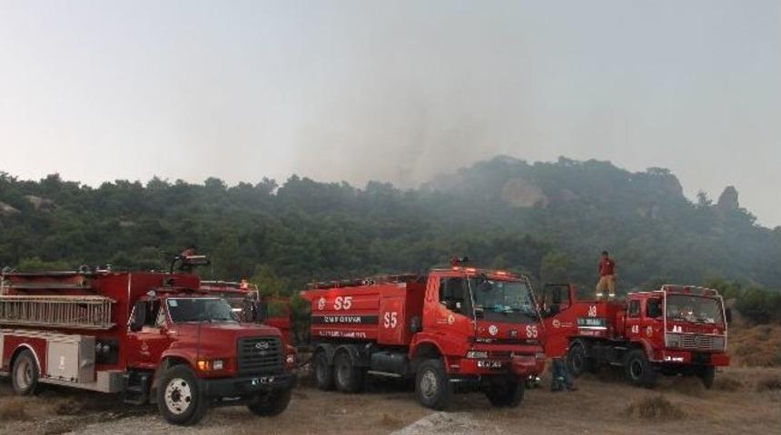 Fo&ccedil;a'da Orman Yangını