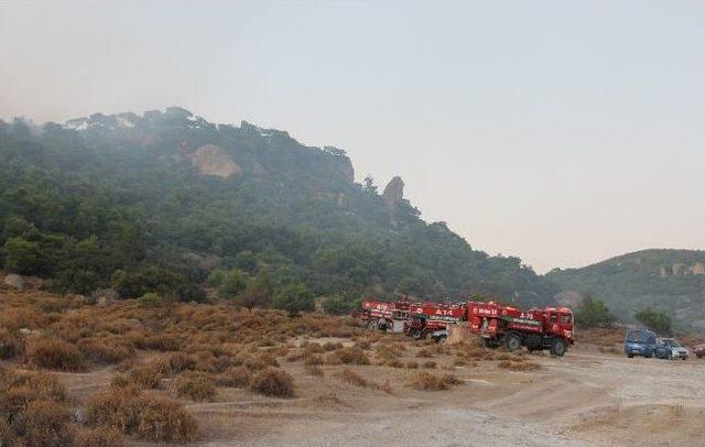 Foça'da Orman Yangını