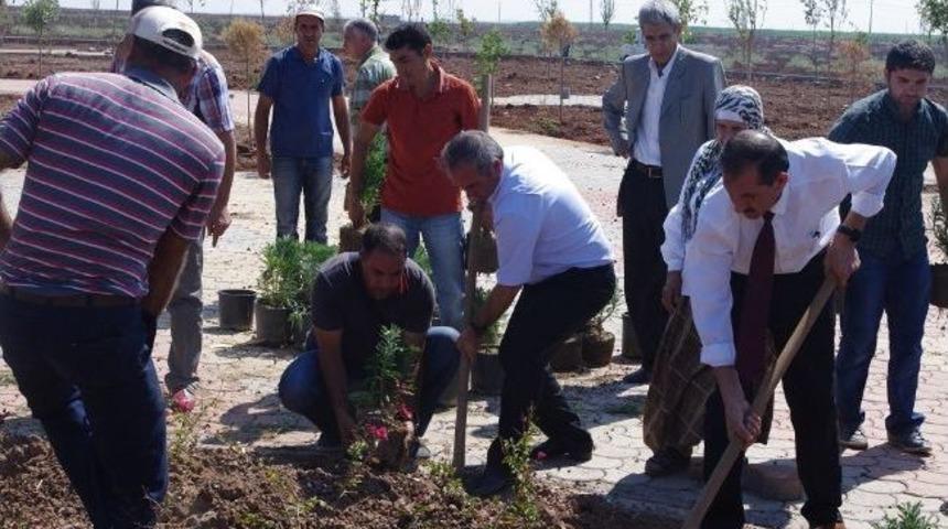 Viranşehir&rsquo;de 7 Park Yapıldı