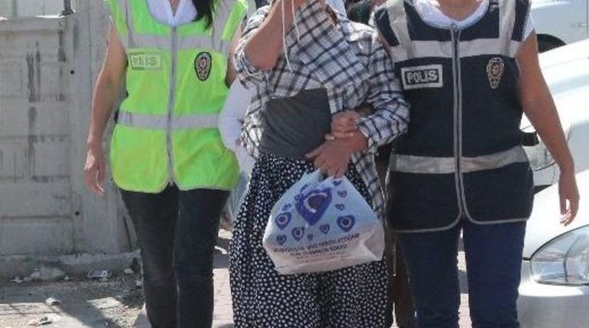 Ağabey Oyaladı, Kardeşi &Ccedil;aldı