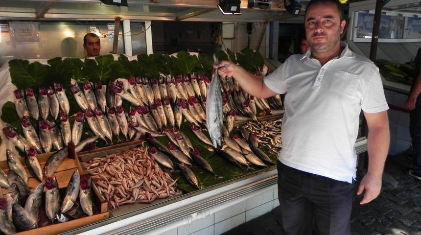 Balık Tezgahları Yeniden Şenlendi
