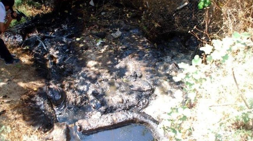 Kanalizasyona D&ouml;k&uuml;len Yakıt, Bah&ccedil;edeki Ağa&ccedil;ları Kurutuyor