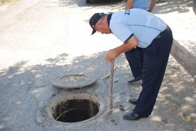 Kanalizasyona Dökülen Yakıt, Bahçedeki Ağaçları Kurutuyor