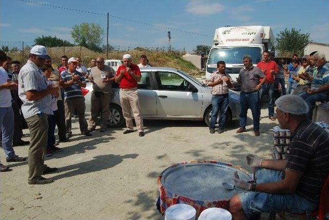 1240 Kg’lık Sinan Boğa Kesildi