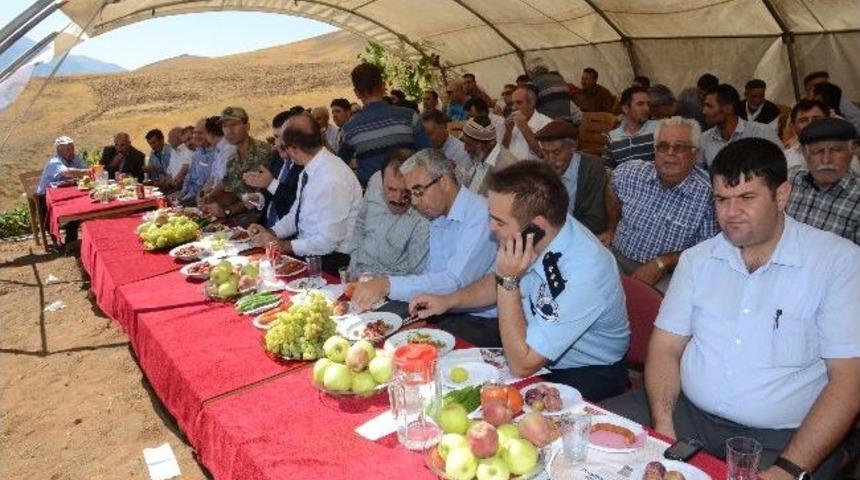 Ekin&ouml;z&uuml;'nde Tarla G&uuml;n&uuml;