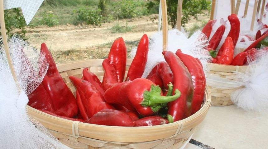Karaisalı Biberi Tescilleniyor