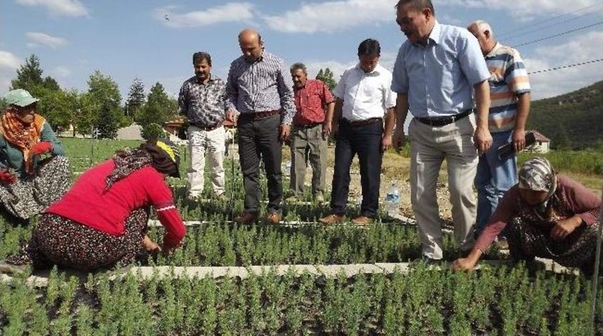 Seydişehir&rsquo;de Mera Ve Bozuk Ormanlar Vatandaşın Hizmetine Sunulacak