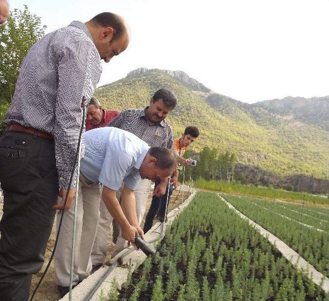 Seydişehir’de Mera Ve Bozuk Ormanlar Vatandaşın Hizmetine Sunulacak