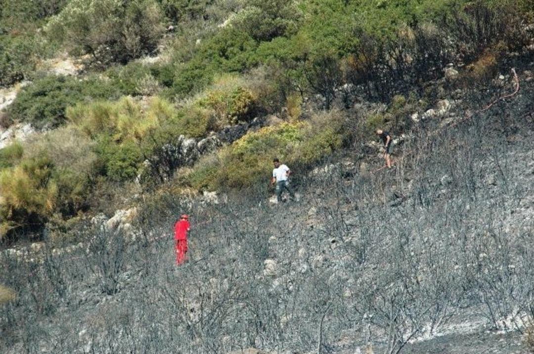 Bodrum'da Orman Yangını