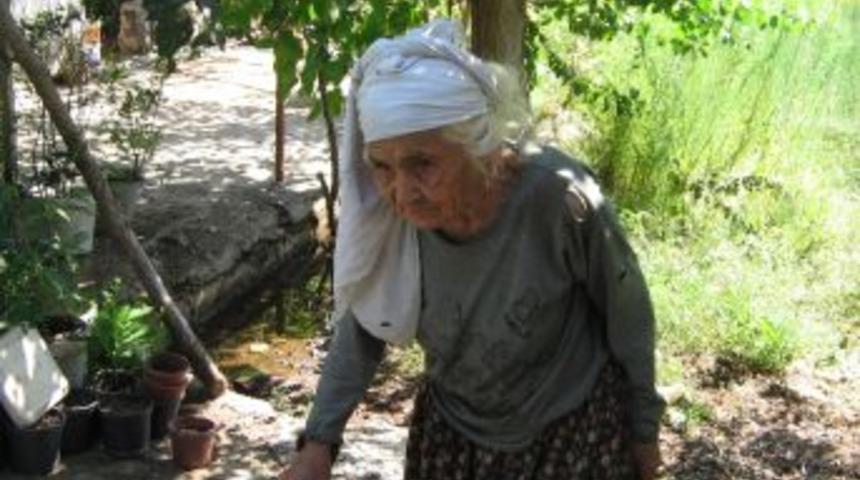 97 Yaşındaki Kadın Dağlardan Kekik Toplayarak Aile B&uuml;t&ccedil;esine Destek Oluyor