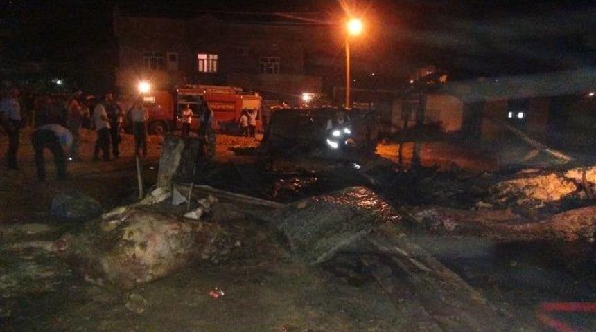 Cizre&rsquo;de Hayvan Barınağında Yangın &Ccedil;ıktı