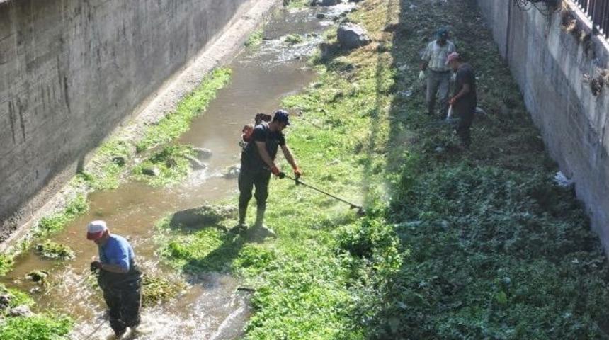 Niksar&rsquo;da Dere Temizliği