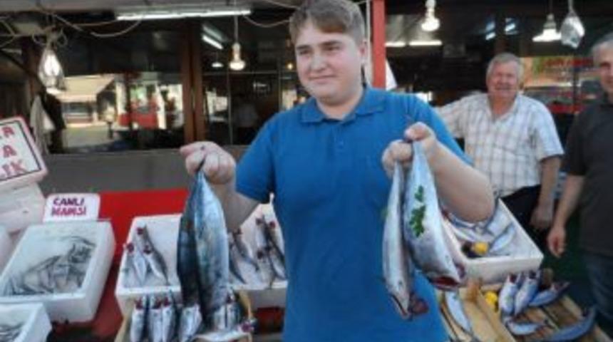 Balık tezgahları doldu