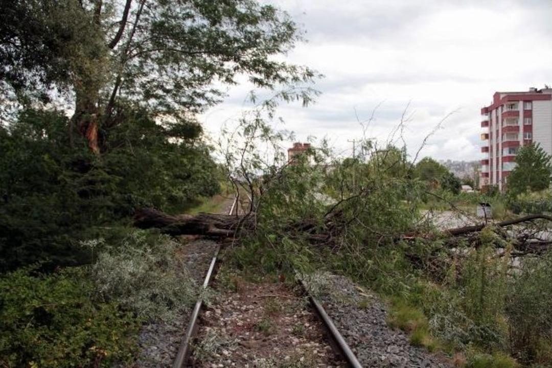 Samsun&rsquo;da Fırtına