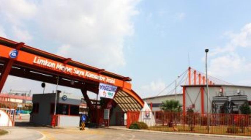 İ&ccedil;ecek Sekt&ouml;r&uuml;nde Limkon Ile Wild Ortaklığı