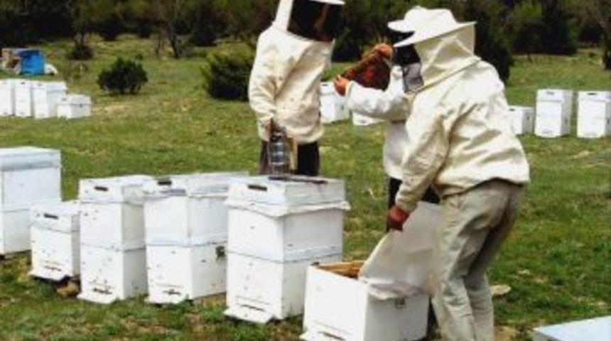 Darende&rsquo;de Arıcılık Projeleri Hayata Ge&ccedil;iyor