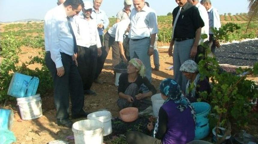 Besni&rsquo;de &Ccedil;ift&ccedil;ilere Organik &Uuml;r&uuml;n Sertifikaları Verildi