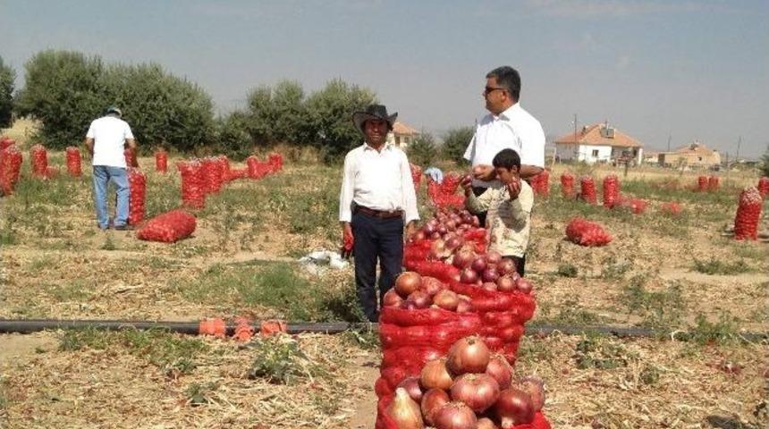 Ereğli İl&ccedil;e M&uuml;d&uuml;r&uuml; &Ouml;zg&uuml;ven Tarlaları İnceledi