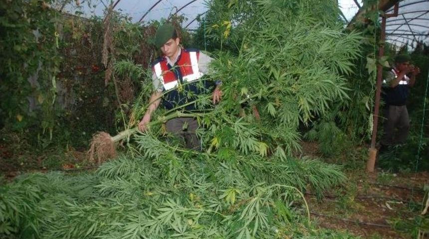 Jandarma&rsquo;dan Ka&ccedil;ak&ccedil;ılara Ağır Darbe