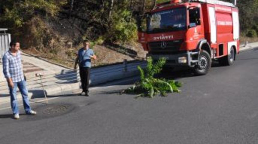 Otoyoldaki &Ccedil;ukur Tehlike Sa&ccedil;ıyor