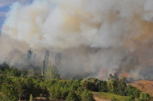 Lüleburgaz'da Korkutan Yangın