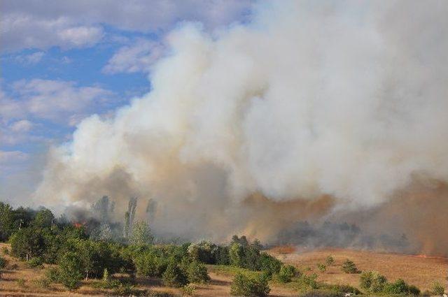 Lüleburgaz'da Korkutan Yangın