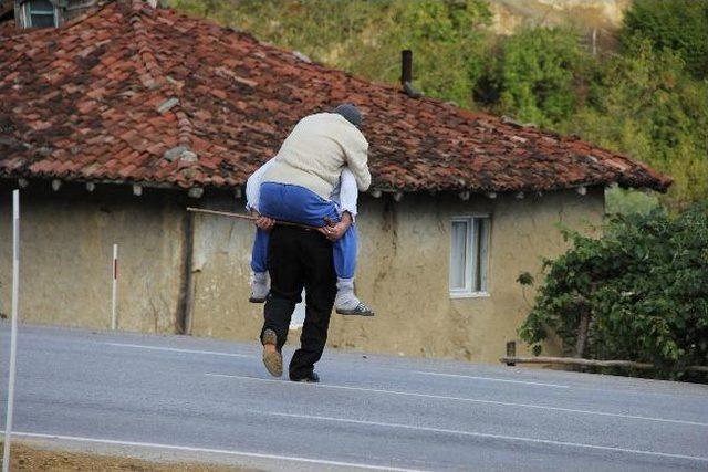 Karayolunda Tehlikeli Geçiş