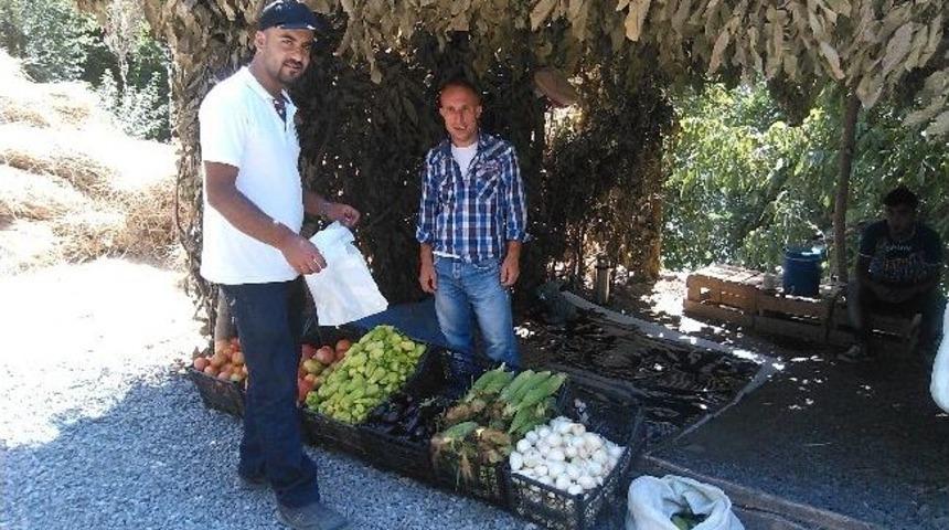 Yetiştirdiği Sebzeleri Satarak Kardeşlerini Okutuyor