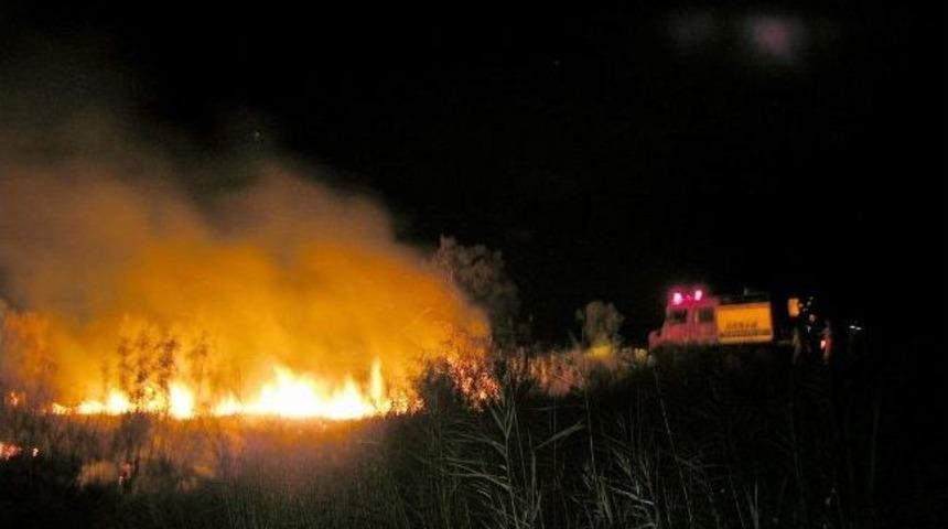 Bursa'da Korkutan Zeytinlik Yangını