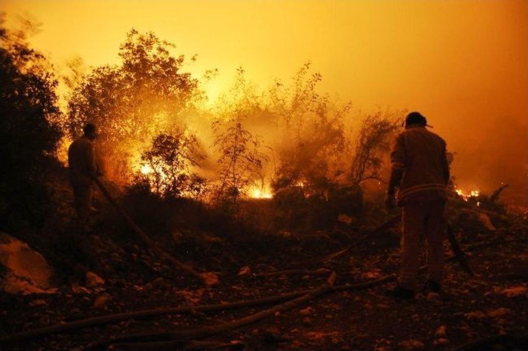 Mersin'deki Orman Yangını