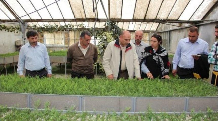 Musul&rsquo;da T&uuml;rk Fidancılığı &Ouml;rnek Alınacak