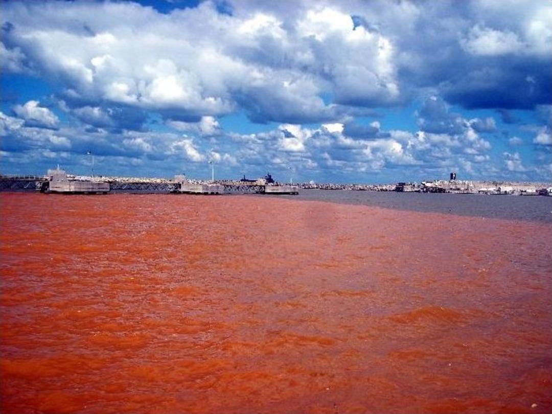 Karadeniz &lsquo;kızıldeniz&rsquo;e D&ouml;n&uuml;şt&uuml;