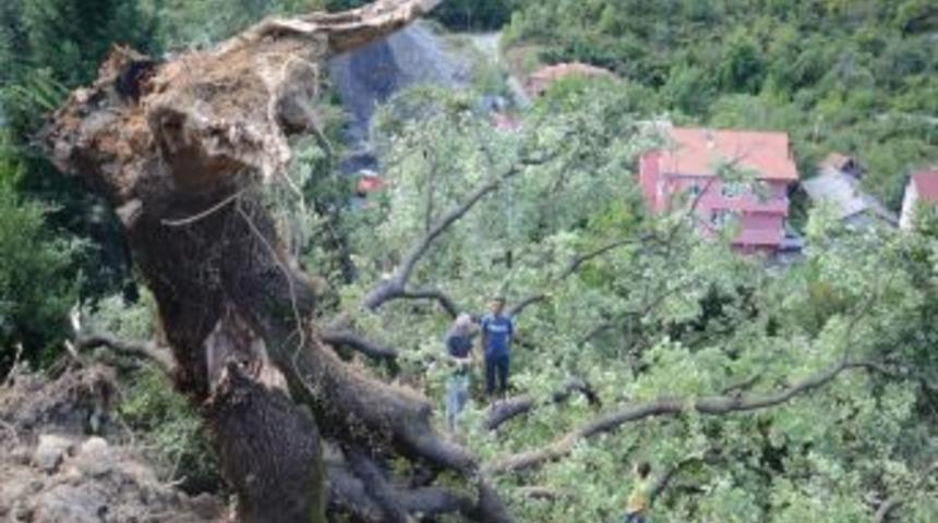 Zonguldak'taki Sağanak