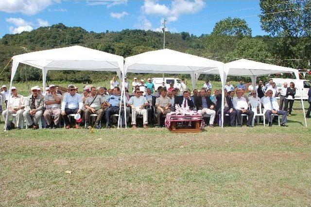 &Uuml;nye&rsquo;de Dev Armut Atılımı 1