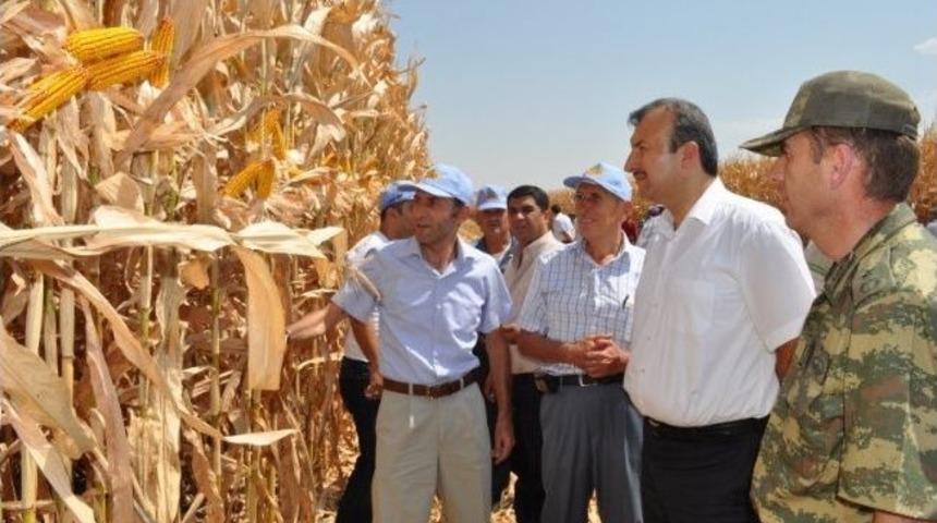 Kurtalan Kaymakamı İmamoğlu G&ouml;reve Başladı