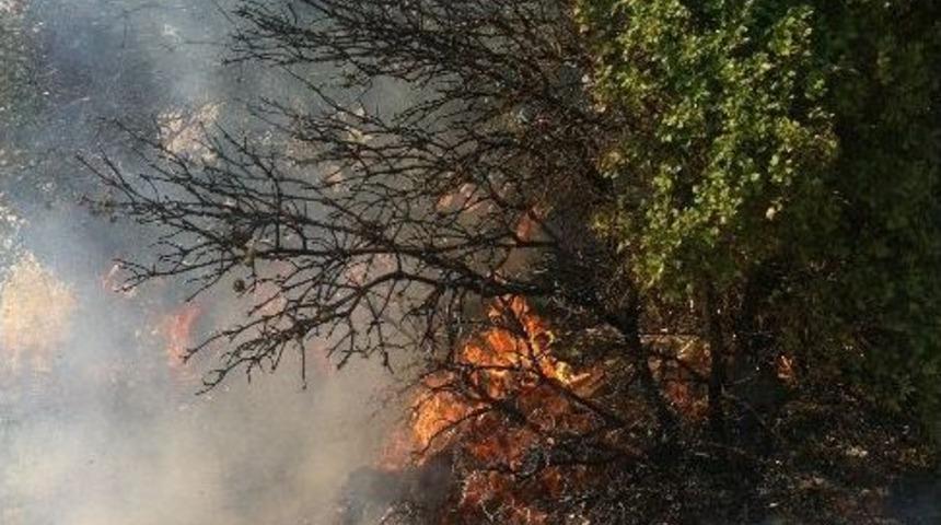 Adıyaman&rsquo;da Orman Yangını