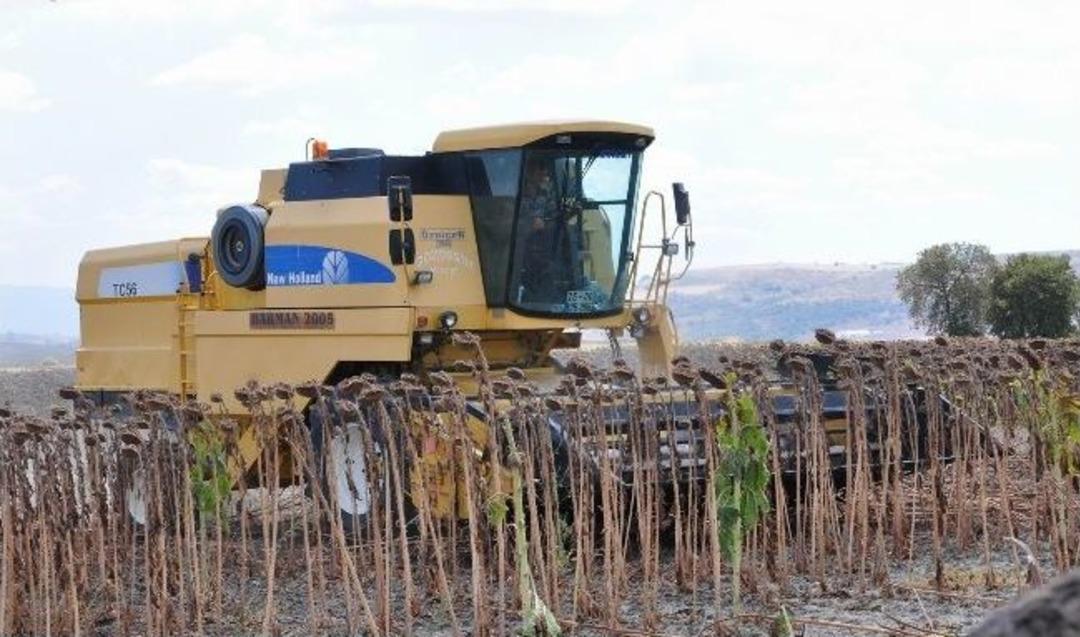 &Ccedil;ekirdek Yiyerek Ay&ccedil;i&ccedil;eği İthalatını Protesto Ettiler