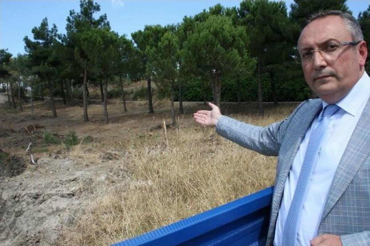 Ak Parti'den Nil&uuml;fer&rsquo;de Stadyum İ&ccedil;in Ağa&ccedil;ların Kesilmesine Tepki
