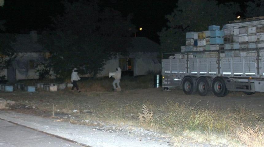 Arı Kovanlarından 53 Bin Paket Ka&ccedil;ak Sigara &Ccedil;ıktı