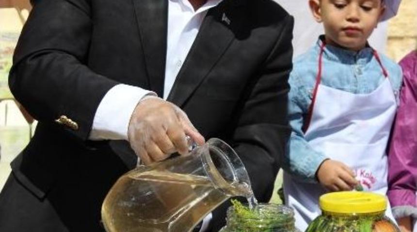 &Ccedil;ubuk Belediyesi 9. Uluslararası &Ccedil;ubuk Turşu Ve K&uuml;lt&uuml;r Festivali