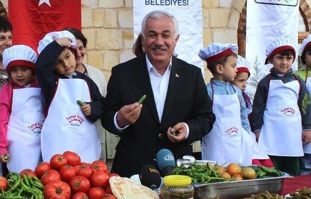Çubuk Belediyesi 9. Uluslararası Çubuk Turşu Ve Kültür Festivali 1
