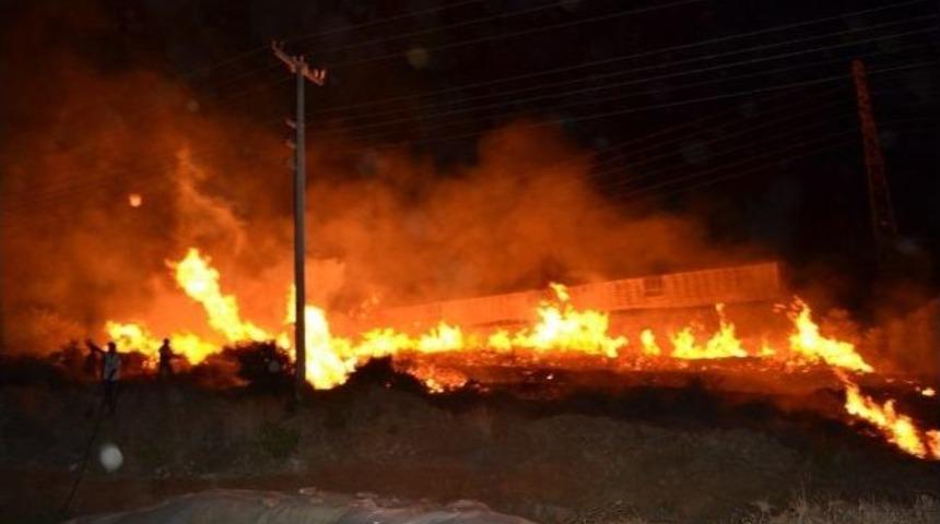 Bozyazı'da Sera Ve Zeytin Ağa&ccedil;ları Yandı