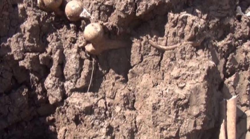 İnşaatta Kazı Sırasında Kemik Ve Kafatası Bulundu