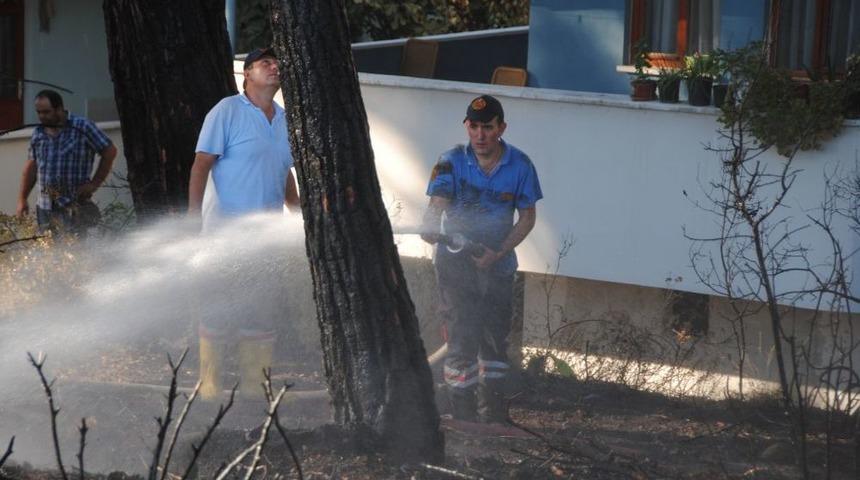 Manavgat T&uuml;rkbeleni'nde &Ccedil;ıkan Orman Yangında Bir D&ouml;n&uuml;ml&uuml;k Alan Zarar G&ouml;rd&uuml;