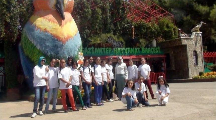 G&ouml;kkuşağı &Ouml;ğrencileri Gaziantep'i Gezdi