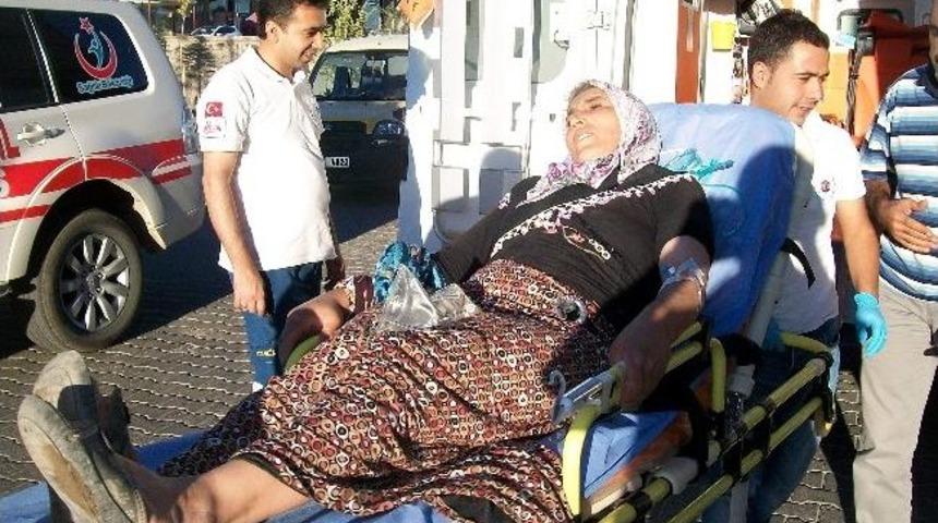 &Uuml;z&uuml;m Toplarken Yılan Soktu